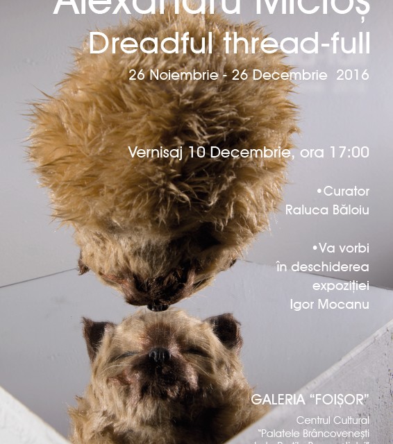 Alexandru Micloş, „Dreadful thread-full” @ galeria Foişor a Centrului Cultural Palatele Brâncoveneşti de la Porţile Bucureştiului, Mogoşoaia
