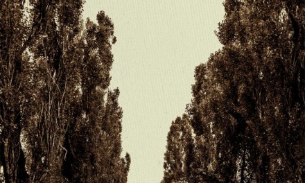 Expoziţia retrospectivă “Tescani 40” @ Galeria Romană, București