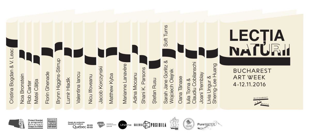 Bucharest Art Week 2016