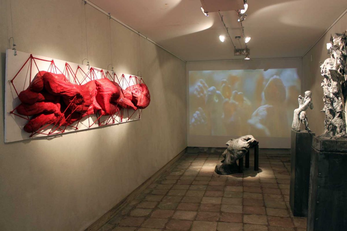 uprooted-dezradacinat-aurel-vlad-catalin-badarau-6