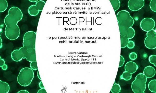 Instalația TROPHIC de Martin Balint @ Cărturești Carusel, București