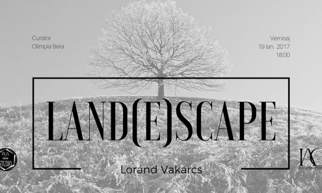 Land(e)scape – Lorand Vakarcs