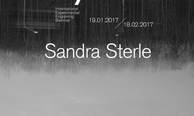 IEEB7 prezintă instalația video a artistei Sandra Sterle @ WASP, București