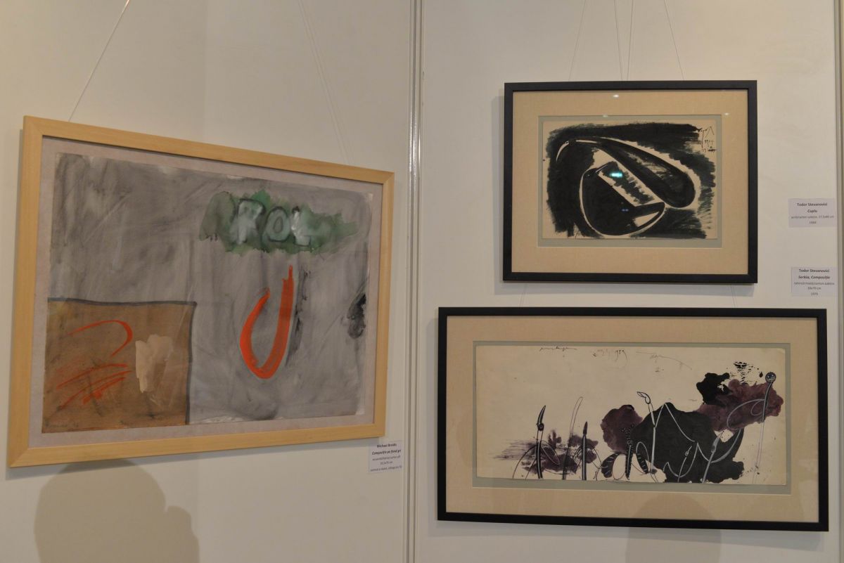 colectia pavel susara - galeria dialog LM1_26