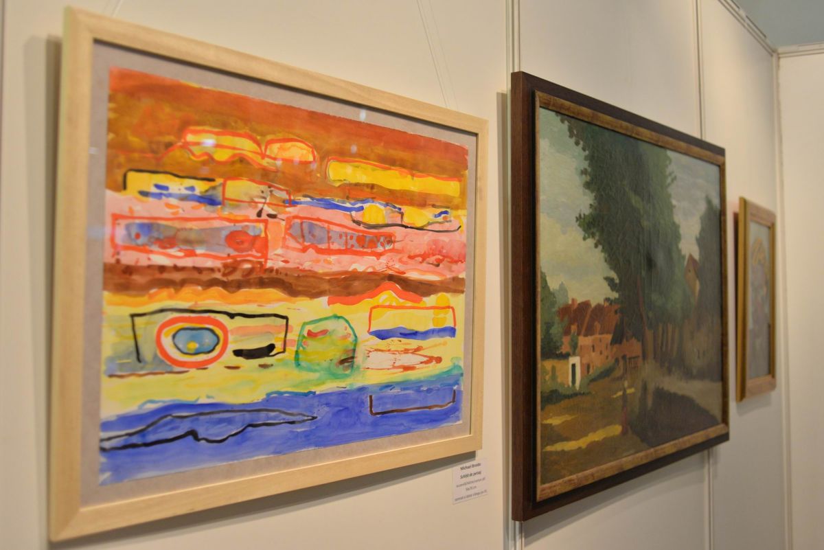 colectia pavel susara - galeria dialog LM1_39
