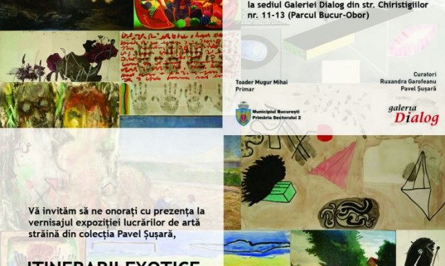PERSPECTIVE NECONVENŢIONALE CU PAVEL ŞUŞARĂ @ Galeria Dialog