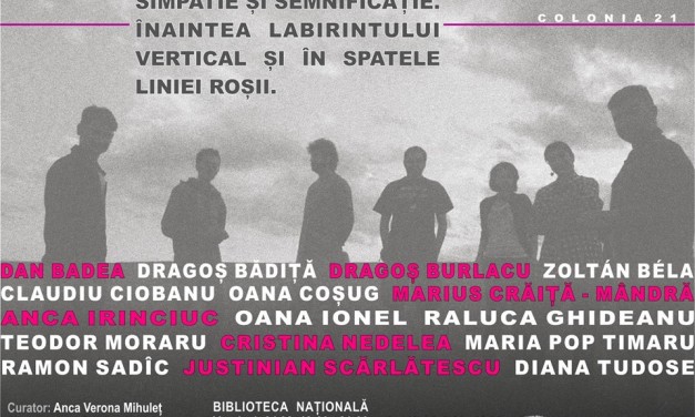 Simpatie şi semnificaţie. Înaintea labirintului vertical şi în spatele liniei roşii