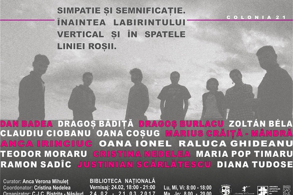 Simpatie şi semnificaţie. Înaintea labirintului vertical şi în spatele liniei roşii