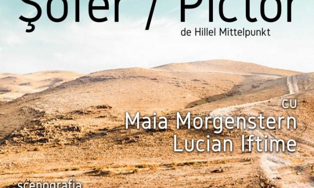 Teatrul Evreiesc de Stat prezintă PREMIERA spectacolului ŞOFER / PICTOR cu Maia Morgenstern și Lucian Iftime