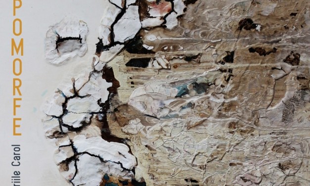 Mirela Iordache „Entropomorfe” @ Galeriile Carol, București