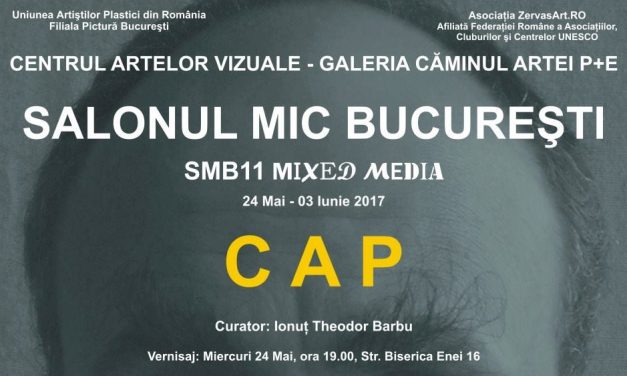 SALONUL MIC BUCUREŞTI – Ediţia a XI-a, 2017 – CAP