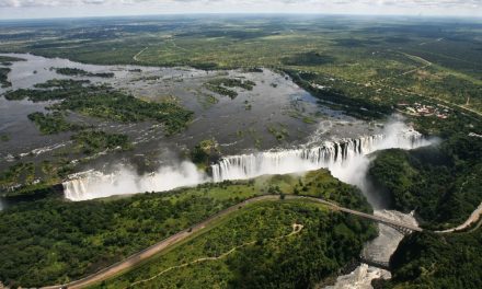 Reprogramare: Foto-safari în Zambia de Lucian Muntean, la Galeria Întâlnirilor