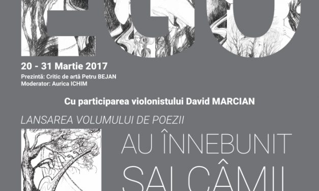Ofelia Ioana Odobașu “Ego” @ Muzeul Unirii din Iași