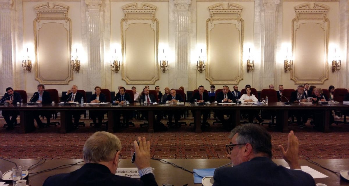 Audierea candidaților la conducrera ICR în Senat