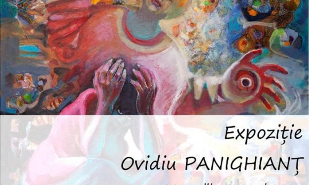 Expoziție Ovidiu Panighianț @ Muzeul de Artă Cluj-Napoca