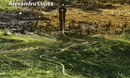 Expo Maraton 2017, #6: Stanciu Eliza, „Shades” / Lupea Alexandru, „Un băiat mestecă o bucată de sfoară” @ Galeria Casa Matei, Cluj-Napoca