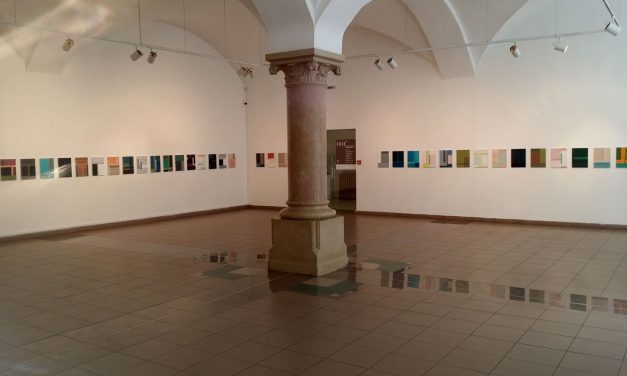 Dana Constantin și Marcel Bunea „DOI 5” @ Muzeul de Artă Contemporană Brukenthal