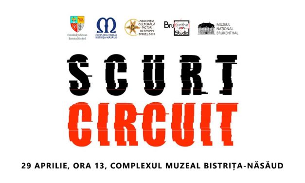 „Scurt circuit”, expoziție de artă contemporană @ Complexul Muzeal Bistrița-Năsăud