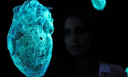 Denis Simion “Anima” @ Galeria Galateca, București