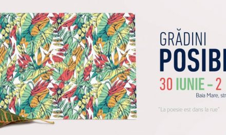 DJ-II ELECTRIC CASTLE ȘI STUDENȚII DE LA ARTE ÎNCHEIE SEZONUL STREET DELIVERY, PE STRĂZILE DIN BAIA MARE