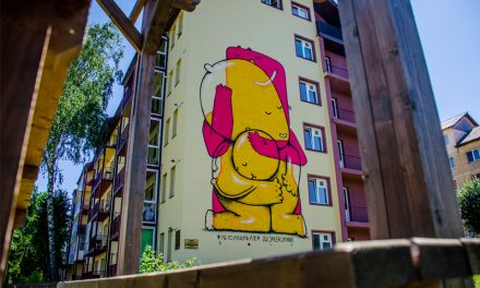 Street artistul Pisica Patrată a transformat o fațadă de bloc din Sibiu cu o pictură spectaculoasă