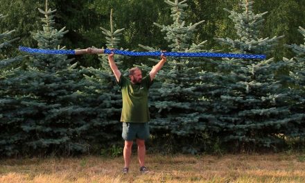 Simpozionului de artă contemporană artFORest – work in progress