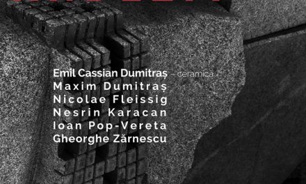 DINCOLO DE GRANIT – ANDEZIT @ MUZEUL DE ARTĂ PIATRA – NEAMȚ