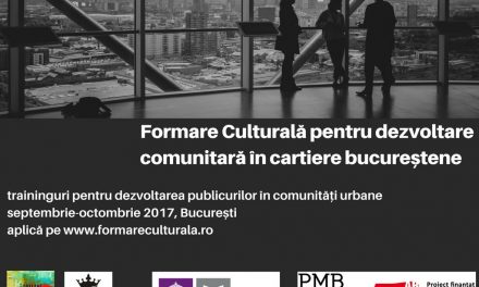 Dezvoltare comunitară prin proiecte culturale: traininguri dedicate instituțiilor publice de cultură