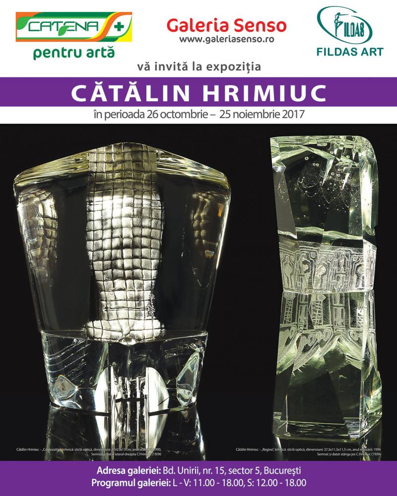 Expoziție Cătălin Hrimiuc @ Galeria de Artă SENSO, București