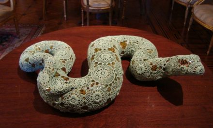 Proiect cultural româno-portughez