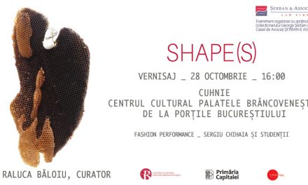 Dragoş Neagoe – Shape(s)