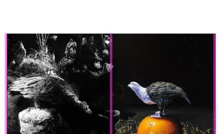 Galeria Nano – «Act Anima», Juhos Sándor & Szabó András @ Centrul de Interes în cadrul NAG Cluj