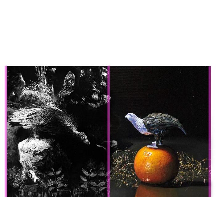 Galeria Nano – «Act Anima», Juhos Sándor & Szabó András @ Centrul de Interes în cadrul NAG Cluj