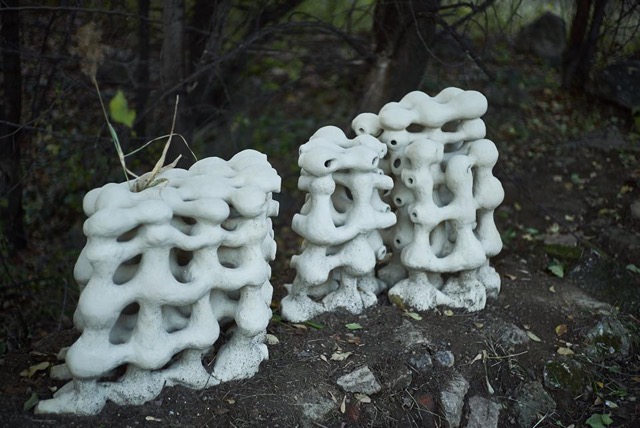 BiotopArt Bucharest: Obiecte de ceramică și sculptură au devenit habitate pentru speciile din Parcul Natural Văcărești
