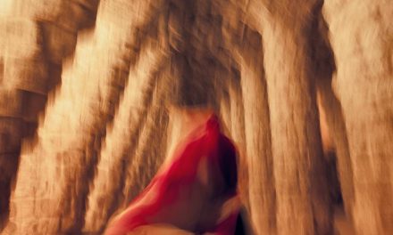 Proiectul fotografic Transience (Efemeritate), prin tehnica intentional camera movement: peste 80.000 de imagini