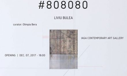 Liviu Bulea #808080 @ Iaga Contemporary Art, Cluj-Napoca
