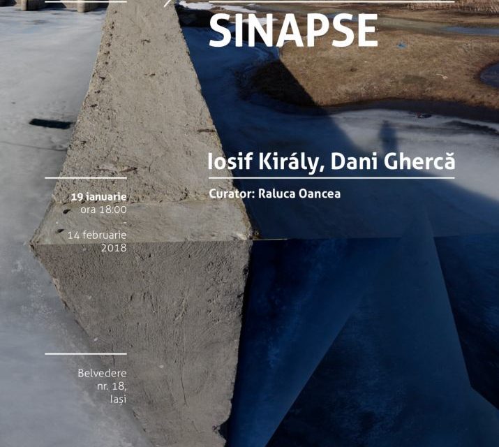 D Platform: Sinapse @ Borderline Art Space, Iași