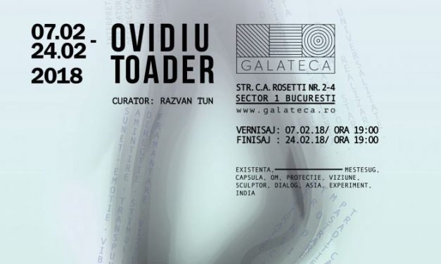 Sculptorul Ovidiu Ștefan Toader aduce India în România prin expoziția “Cuib” @ Galeria Galateca, București
