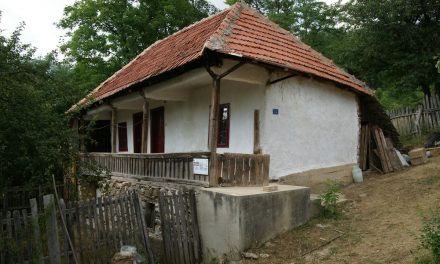 GAZDE BUNE ÎN CASE BĂTRÂNE – o iniţiativă a Asociaţiei SINAPTICA