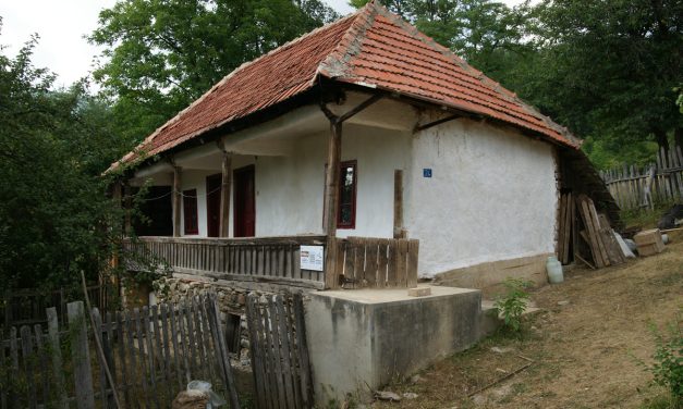 GAZDE BUNE ÎN CASE BĂTRÂNE – o iniţiativă a Asociaţiei SINAPTICA