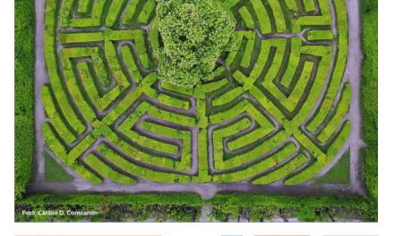 Peisaj indigen şi grădini exotice la Palatul Suțu