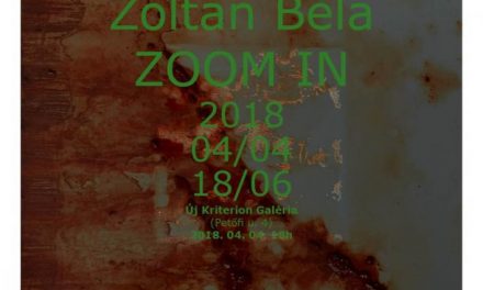 Zoltán Béla, „ZOOM IN” @ Galeria Új Kriterion, Miercurea Ciuc 