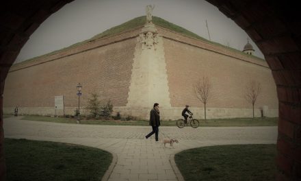 Alba Iulia – geometrii citadine II