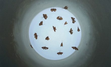 Expoziţia personală „Tip of the Iris” a artistului Dragoş Bădiţă @ ICR Stockholm