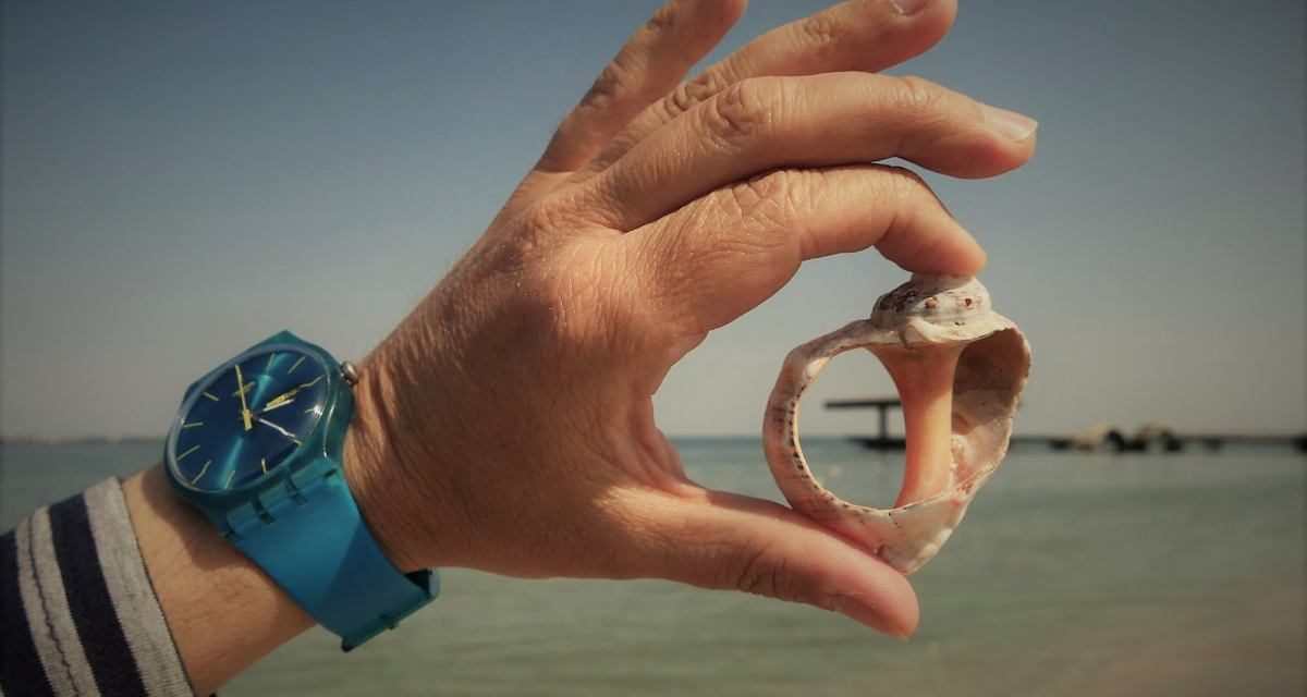 Marea Neagră – calmă și tristă