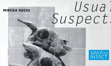 Mircea Suciu „Usual Suspects” @ Spațiu Intact, Cluj-Napoca