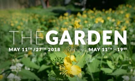 The Garden @ Visual Kontakt, Cluj-Napoca