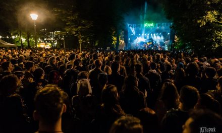Recordurile Jazz in the Park 2018: 9 zile de ploaie, 70.000 de spectatori și 7.000 de donatori