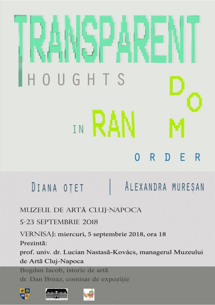 Expoziţia „Transparent Thoughts in Random Order” a artistelor Diana Oţet şi Alexandra Mureşan @ Muzeul de Arta Cluj-Napoca