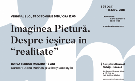 Expoziția Imaginea Pictură. Despre ieșirea în „realitate” Bursa Teodor Moraru – Cinci ani @ Muzeul Bistrița